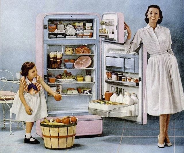 My motherhood is a dirty fridge